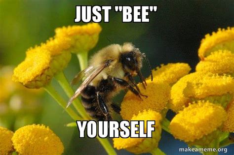 Just Bee Yourself Good Guy Bee Make A Meme