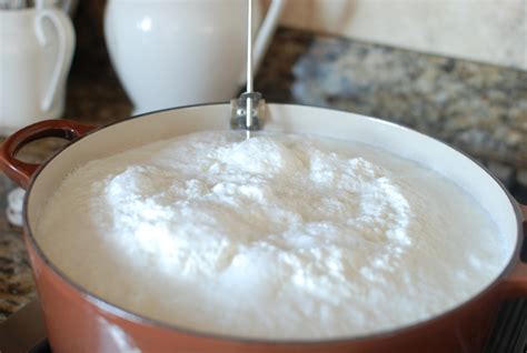 Homemade Buttermilk Ricotta Simply So Good