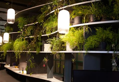 Biophilic And Sustainable Interior Design · The Biophilic Office What It