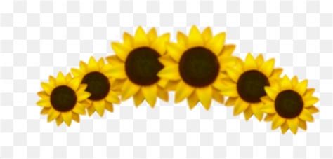 Flower Clipart Yellow Yellow Flower Clipart Emojiyellow Flower Emoji