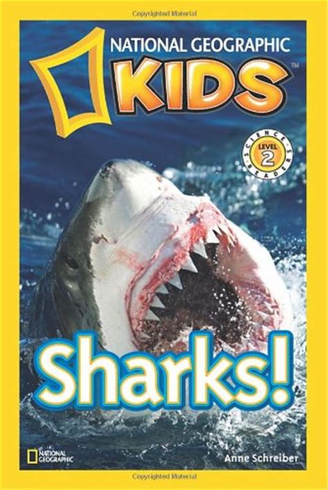 The Best Shark Books For Kids ⋆ Parenting Chaos