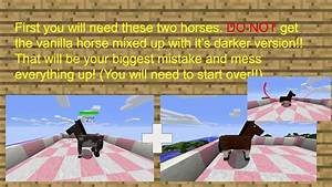 Mo 39 Creatures Horse Guide Google Slides Youtube