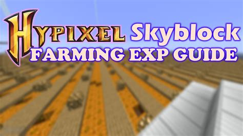 Hypixel Skyblock Farming Exp Guide Youtube