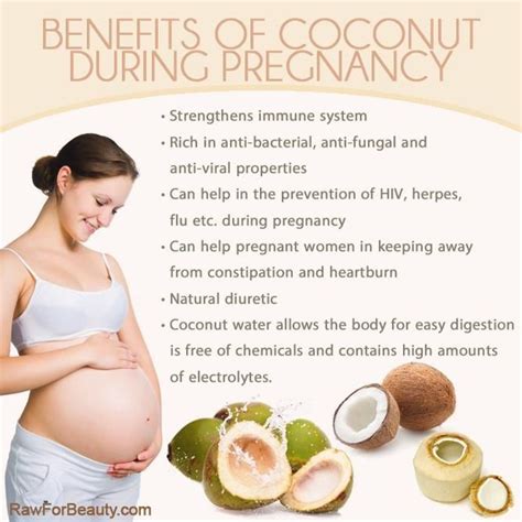 Benefits Of Coconut During Pregnancy Coconut During Pregnancy