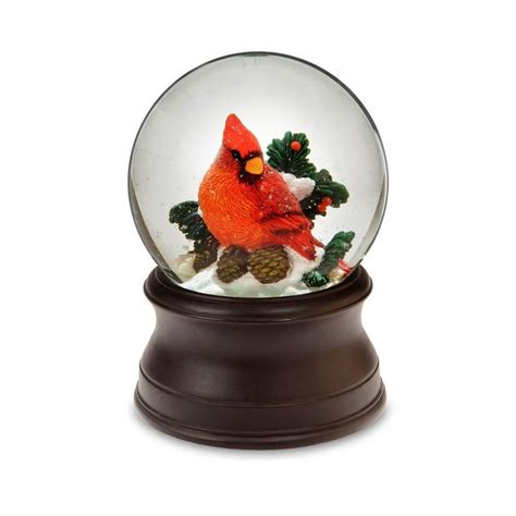 Cardinal Snow Globe No842970053194 Unbelievable Item Right Here