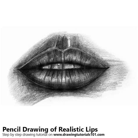 Realistic Lips Pencil Drawing - How to Sketch Realistic ...