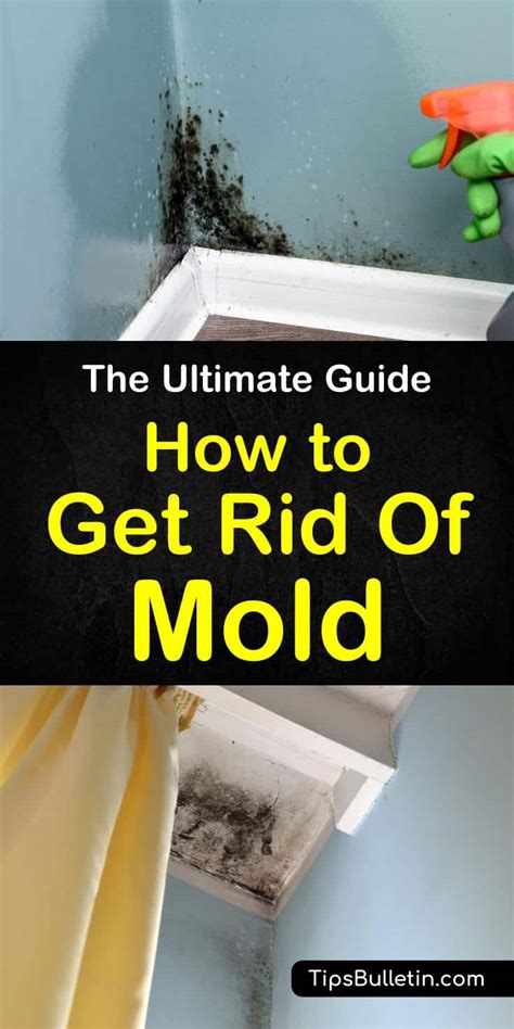Scrub thoroughly and wipe clean, then spray again and let sit for 10 minutes before wiping dry. How to Get Rid of Mold - The Ultimate Guide