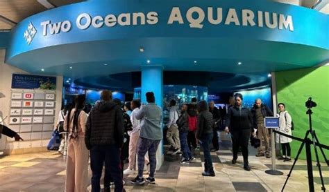 Unlock Secrets Of The Two Oceans Aquarium Free Entry And Daily Discounts