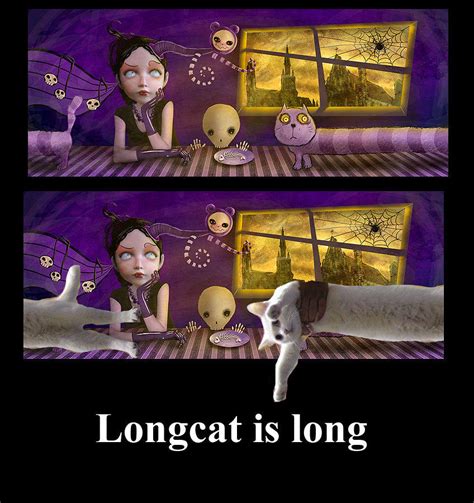 [image 16700] longcat know your meme