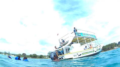 Barbados Turtles Fish And Shipwreck Snorkeling Tour October 7th