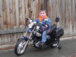 Harley davidson motorcycle hd family mom dad bike kid sticker decal live ride. Best Harley Davidson Toys | Harley davidson toys, Kids ...
