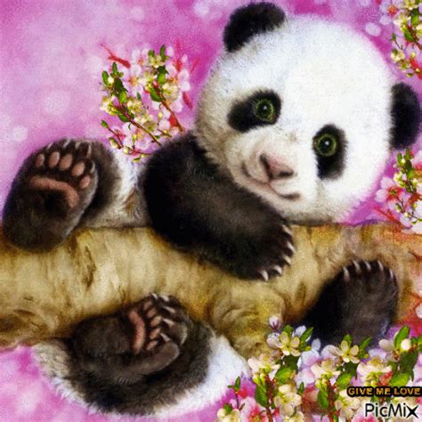 Panda Love Panda Love Panda Art Panda Bears Wallpaper