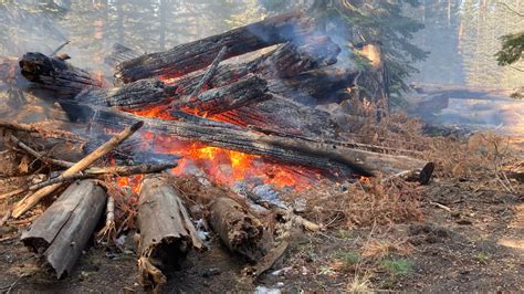 Forest Service Starts Lighting Burn Piles Across The Northstate Krcr