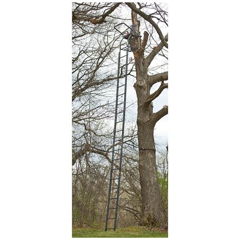 Guide Gear 25 Deluxe Double Rail Ladder Tree Stand Ladder Tree