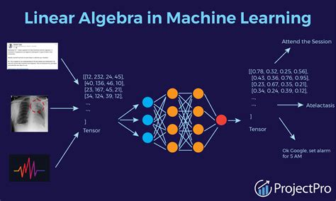 How Is Linear Algebra Used In Machine Learning