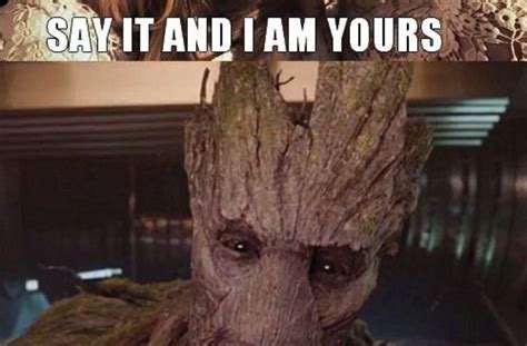 19 Hilarious Groot Meme You Cant Stop Without Laughing