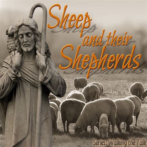 Sheep And Their Shepherds Living Grace Fellowship