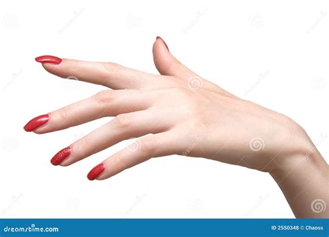 Elegant Woman Hand Stock Photo Image Of Hand Manicure 2550348