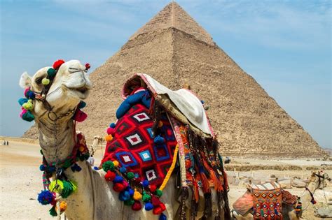 Giza Pyramids Scams Things To Watch Out For