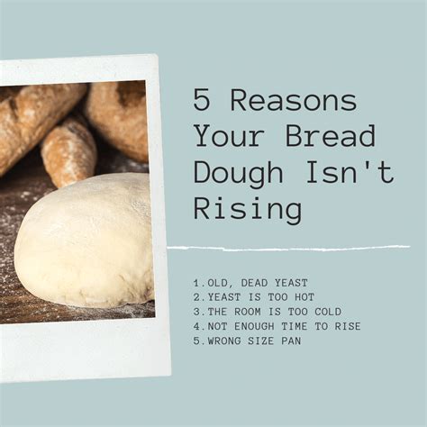why didn t my bread rise tips for bread makers mother earth news bread no rise bread real
