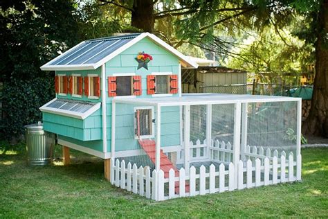 stylish chicken coops for backyard chickens read now