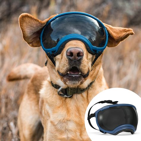What Are Dog Goggles For