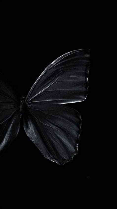 Pin By Merve On Wallpaper Black Butterfly Butterfly Wallpaper Black