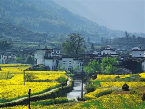 Wuyuan Scenic Area The Most Beautiful Countryside In China