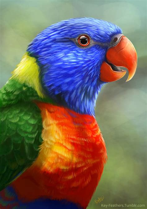 Rainbowlorikeetbykeyfeather Parrot Painting Rock Painting
