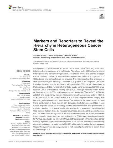 Pdf Markers And Reporters To Reveal The Hierarchy In Heterogeneous