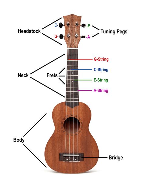 How To Tune Your Ukulele To Different Chord Shapes Scionav
