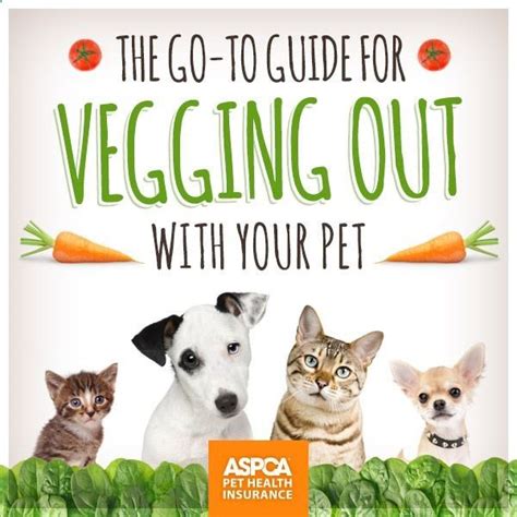 Even though both prioritize your pet's care, they do so in very different ways. Pet-safe fruits and veggies!