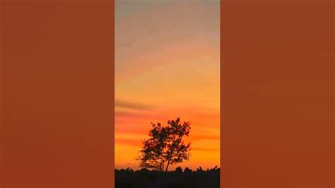 Mentahan Video Sunset Background Vidoe Buat Quotes Shortvideo Youtube