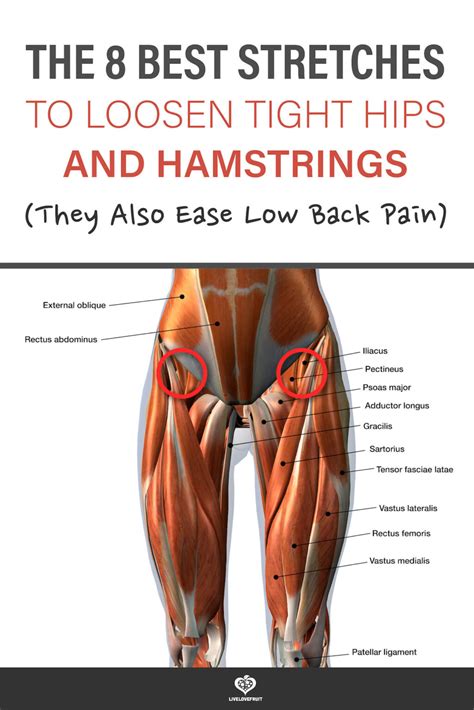 Top Stretches To Loosen Tight Hips And Hamstrings Live Love Fruit