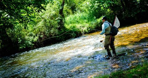 Streamer Fishing For Small Streams Fly Fishing Gink And Gasoline