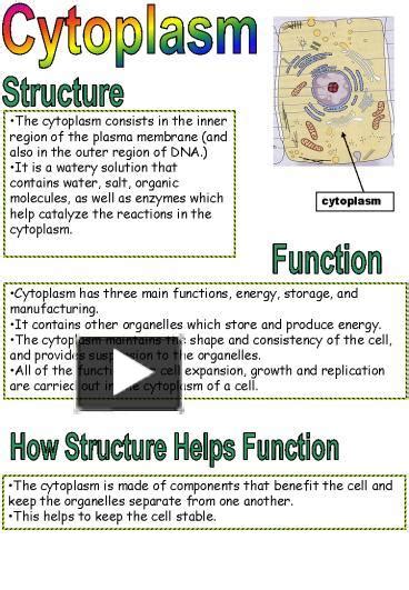 Ppt Cytoplasm Powerpoint Presentation Free To Download Id 1c56b3