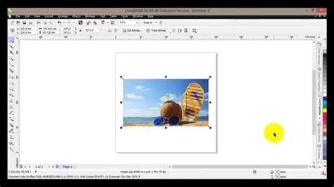 Coreldraw X6 Tutorial 12 How To Use The Crop Tools Youtube