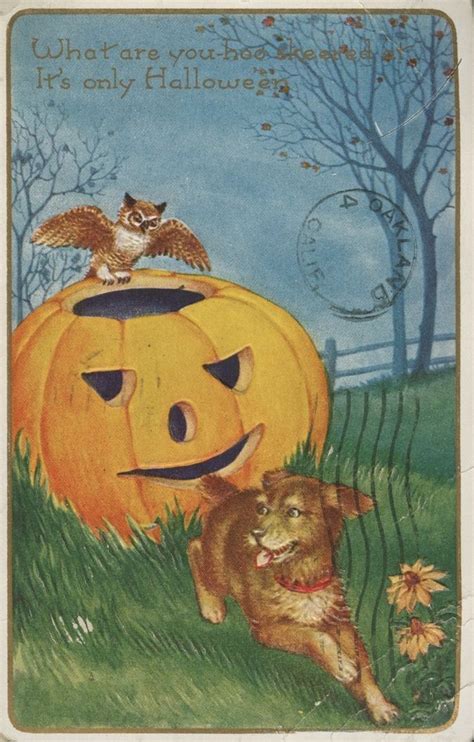View From The Birdhouse Dear Abby Vintage Halloween Dogs