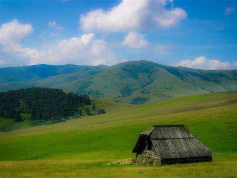 From Belgrade Full Day Guided Tour Of Zlatibor Mountain Getyourguide