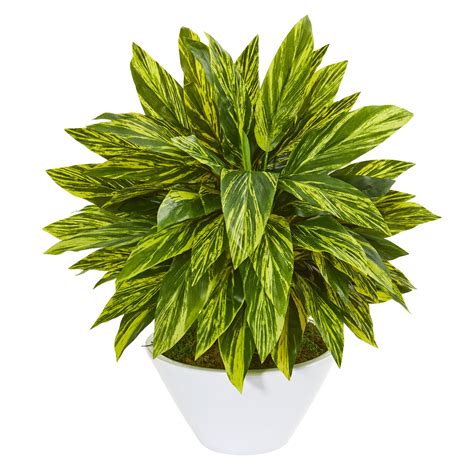 Nearly Natural 21 Tradescantia Artificial Plant In White Vase Real