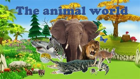 The Animal World For Kids Youtube