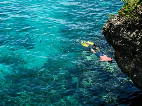 7 Best Places To Snorkel In Jamaica With Photos Trips To Discover