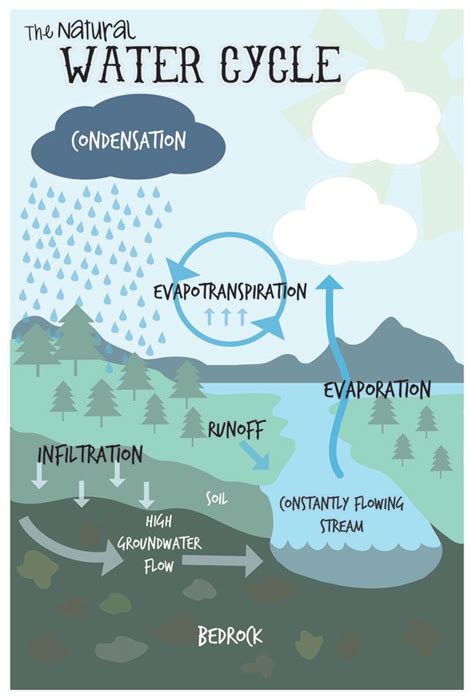 Water Cycle Poster Water Cycle Groundwater