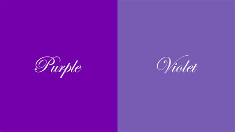 Difference Between ‘violet And ‘purple