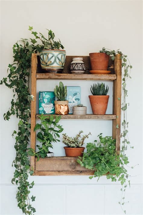 Check spelling or type a new query. Wooden shelf with potted house plants and cacti | Bedroom ...