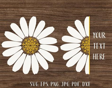 Download Daisy mandala svg Half of a daisy svg White flower svg ...