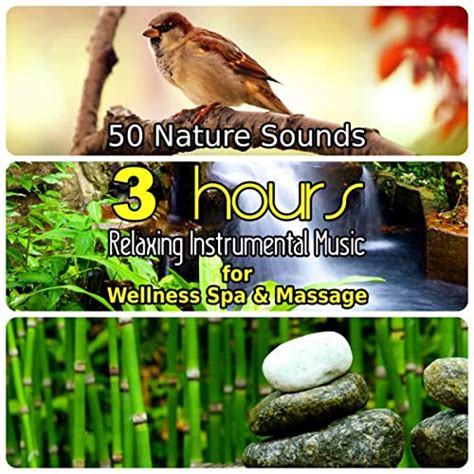 50 Nature Sounds 3 Hours Relaxing Music For Welness Spa And Massage
