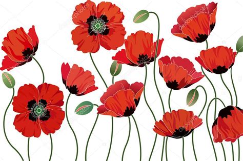 Baixar Papoilas — Ilustração De Stock Watercolor Poppies Watercolor