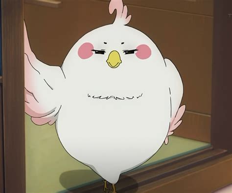 Sexy Anime Birds Forums
