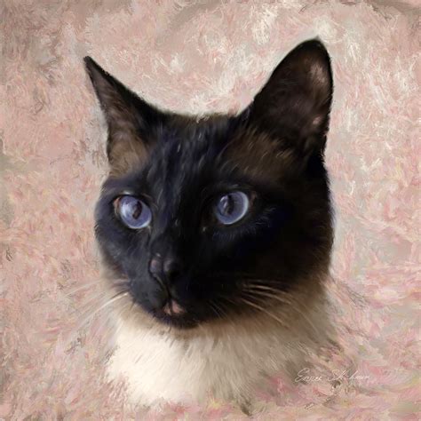 Siamese Cat Portraits Prints — Pet And People Portraits By Nc